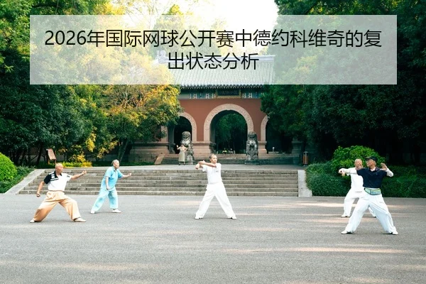 nian-guo-ji-wang-qiu-gong-kai-sai-zhong-de-yue-ke-wei-qi-de-fu-chu-zhuang-tai-fen-xi-2-318.jpg